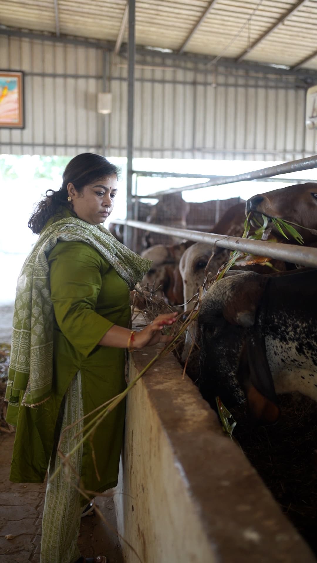 Gaushala Visit & Seva Activity - Image 1